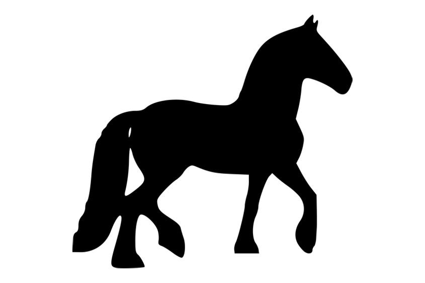 C14 Pferd
