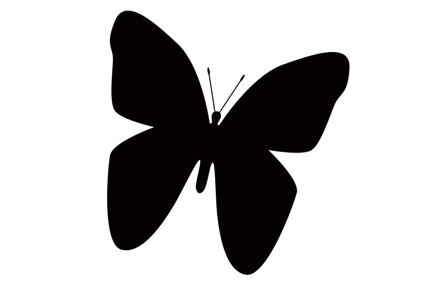 C18 Schmetterling